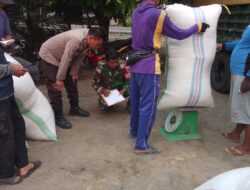 TNI-Polri Di Kab. Pinrang Bahu-membahu Yakinkan Gabah Petani Pinrang Terserap Sesuai HPP Rp 6.500′- Per Kilo Gram