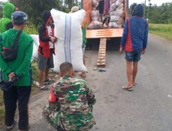 Yakinkan Harga Sesuai HPP, Babinsa Kodim 1404/Pinrang Dampingi Bulog Serap Gabah Petani