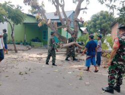 Koramil-06 Kodim 1404/Pinrang Kerja Bakti Bersihkan Ranting Pohon Yang Menghalangi Jalan Bersama Warga