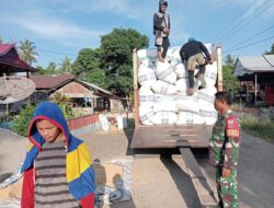 Yakinkan Harga Sesuai HPP, Babinsa Kodim 1404/Pinrang Dampingi Bulog Serap Gabah Petani