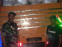 Penuh Semangat, Babinsa Kodim 1404/Pinrang Dampingi Penyerapan Gabah Petani Oleh Bulog