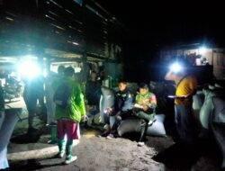 Kompak, Babinsa dam Bhabinkamtibmas Di Kabupaten Pinrang Awasi Penyerapan Gabah Petani Oleh Bulog