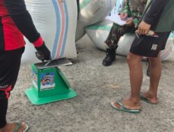 Yakinkan Lancar, Babinsa Kodim 1404/Pinrang Dampingi Bulog Serap Gabah Petani