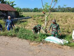 Persiapan turun Sawah, Babinsa Koramil Kodim 1404/Pinrang Bersihkan Saluran irigasi bersama Petan
