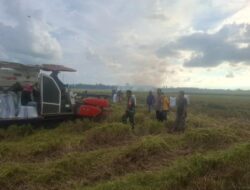 Bersinergi, Babinsa Dan Bhabinkamtibmas Di Kabupaten Pinrang Bantu Petani Panen Padi