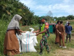 Babinsa dan PPL Tinjau Lahan Sawah dan Pompanisasi