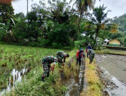 Penuhi Kebutuhan Air petani, Koramil-07 Kodim 1404/Pinrang Bersihkan Saluran irigasi Bersama Warga