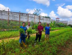 Warga Binaan Produktif, Lapas Banjarbaru kembali Panen 80 Kg Kangkung
