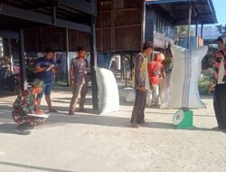 Yakinkan Harga Sesuai HPP, Babinsa Kodim 1404/Pinrang Dampingi Bulog Serap Gabah Petani