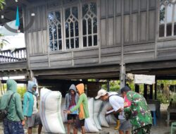 Babinsa Kodim 1404/Pinrang Dampingi Bulog Serap Gabah Petani Di Wilayah Binaan