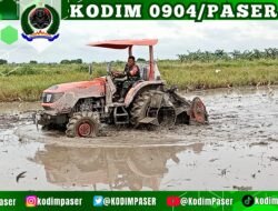*Koramil 0904-03/Longkali Dampingi Petani Guna Mendukung Percepatan Swasembada Pangan