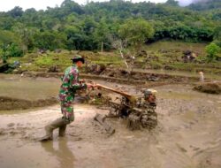 Lumpur Dan Panas Tidak Jadi Halangan, Babinsa Koramil 1405-08/Tanete Riaja Bantu Petani Bajak Sawah