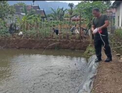 Penuh Inspiratif, Koramil 1405-08/Tanete Riaja Sulap Lahan Kosong Jadi Lahan Produktiv