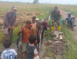 Sambut Musim Tanam, Babinsa Kodim 1404/Pinrang Bersama PPL Dan Warga Bersihkan Saluran Irigasi