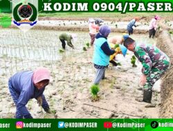 Kodim 0904/Psr Sigap Melakukan Pendampingan Kepada Kelompok Tani