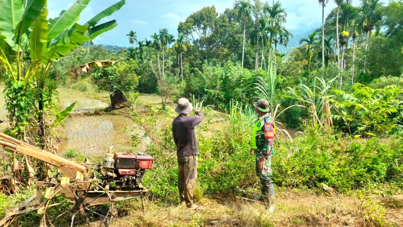 Melalui Komsos, Babinsa Posramil Beutong Ateuh Banggalang Berikan Motivasi Kepada Petani Padi