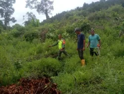 Babinsa Koramil 05/Simeulue Barat Melaksanakan Kegiatan Pengukuran Tanah Untuk Dijadikan Kebun Sawit