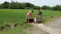 Cegah Hama Pada Tanaman Padi Babinsa Koramil 03/Senagan Timur Bantu Petani Menyemprot Hama Pada Tanaman Padi