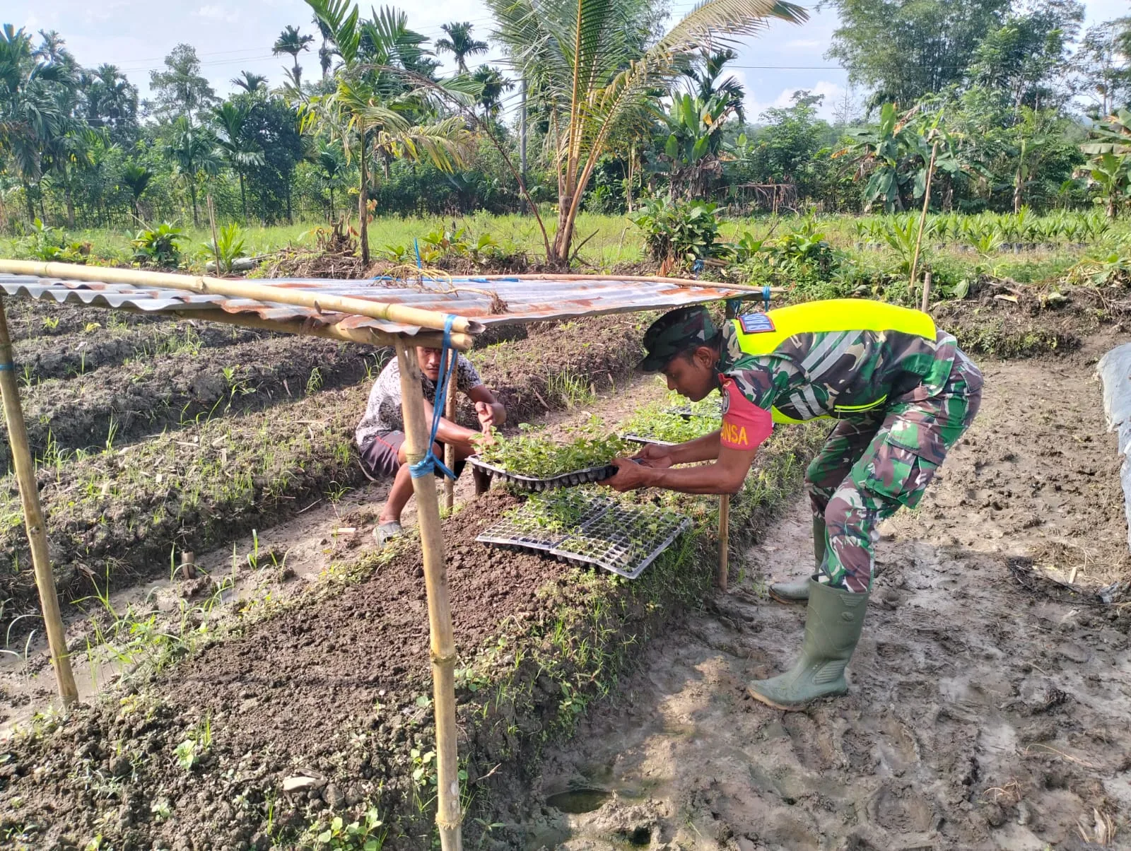 Babinsa Peduli Akan Swasembada Pangan Warga Desa Dan Wilayah Binaanya