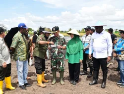 TANAM PADI SERENTAK DI WANINGGAP KAI, MEMACU PERCEPATAN SWASEMBADA PANGAN DI MERAUKE