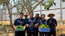 Lapas Banjarbaru Optimalkan Lahan Pertanian, Panen 32 Kg Alpukat untuk Dukung Ketahanan Pangan