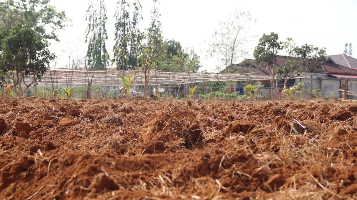 Deru Traktor, Tumbuh Harapan! Rutan Pelaihari Bersiap Tanam Jagung di Kebun SAE